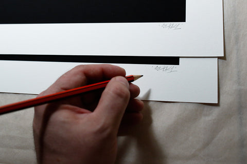 'X-Fly' prints (set of 3)