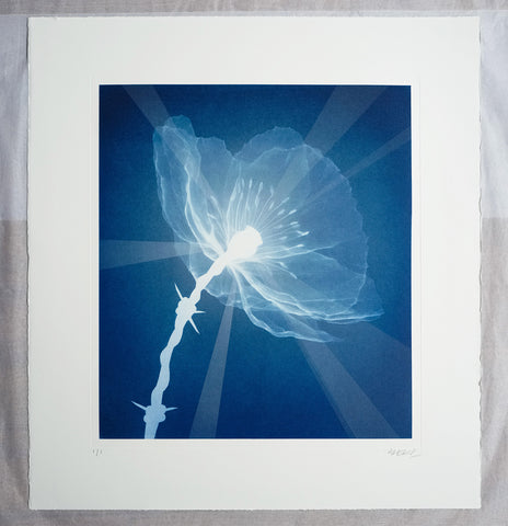 'Masterpeace' (Blue Light Beams) 1/1