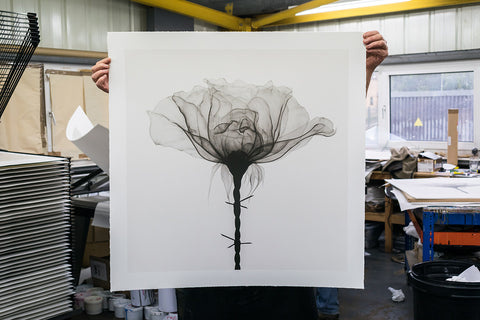 'Thorns' print